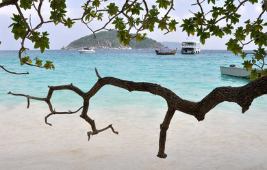 Similar image 555186