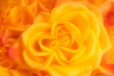 Similar image 555197