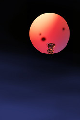 Similar image 555230