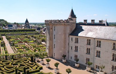 Similar image 555239