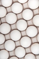 Similar image 555240