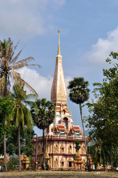 Similar image 555350