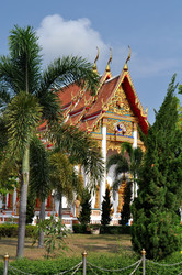 Similar image 555360