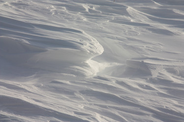 Similar image 555368