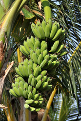 Similar image 555390