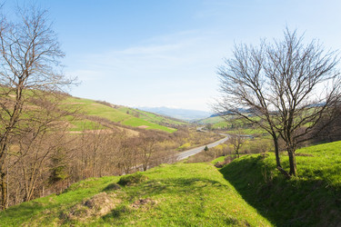 Similar image 555429