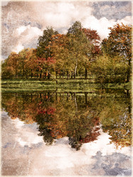 Similar image 555441