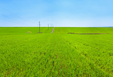 Similar image 555469