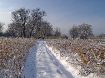 Similar image 555501