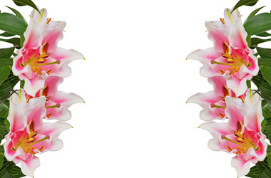 Similar image 555800