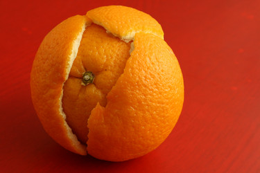 Similar image 555806