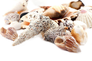 Similar image 555854