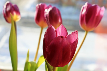 Similar image 555888