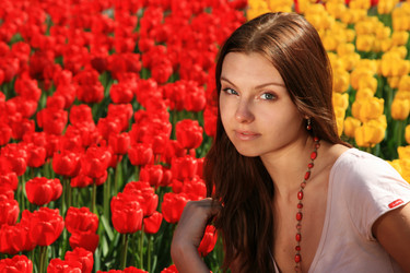 Similar image 555894