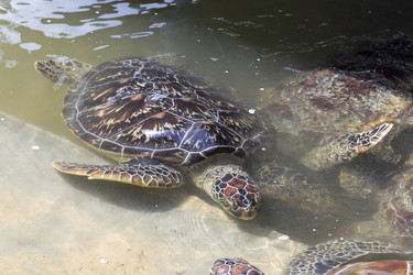 Similar image 555899