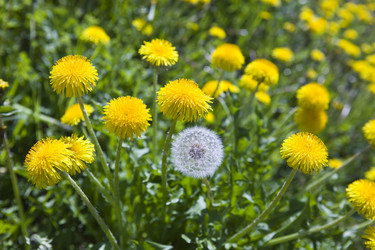 Similar image 555918