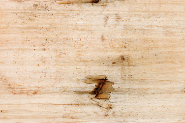 Similar image 555933