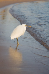 Similar image 555958