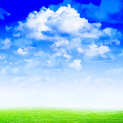 Similar image 556060