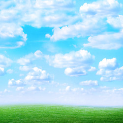 Similar image 556082