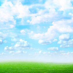 Similar image 556095