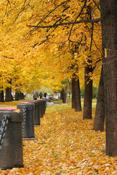 Similar image 556167