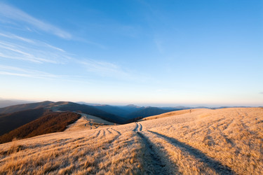 Similar image 556172