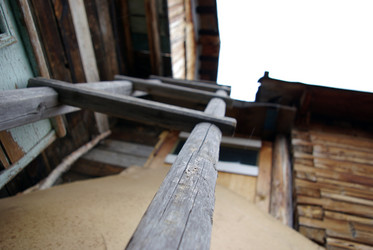 Similar image 556204