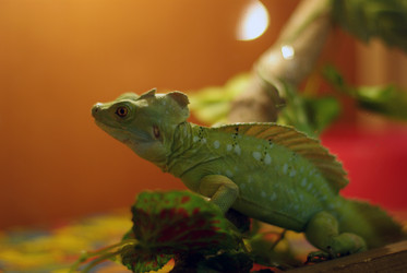 Similar image 556205