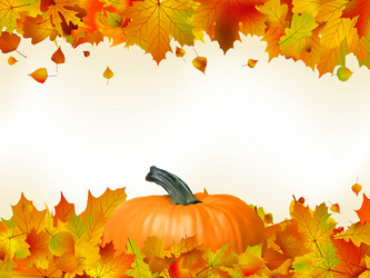 Similar image 556221