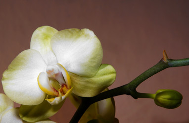 Similar image 556282