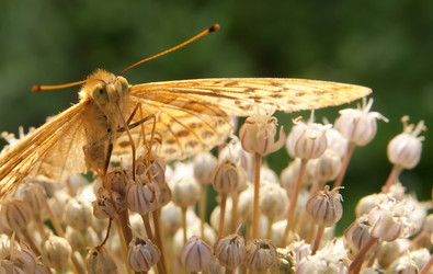 Similar image 556284