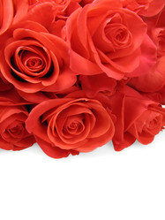 Similar image 556334