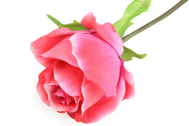 Similar image 556348