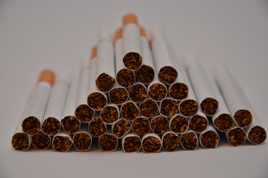 Similar image 556370