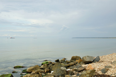 Similar image 556424