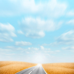 Similar image 556452