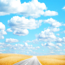 Similar image 556454