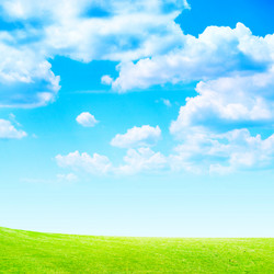 Similar image 556474