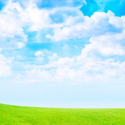 Similar image 556475