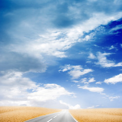 Similar image 556480