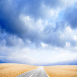 Similar image 556482