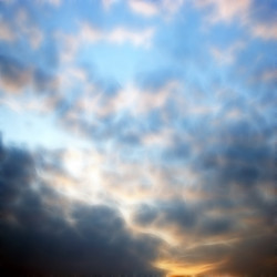 Similar image 556491