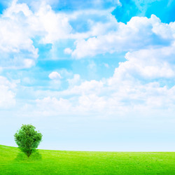 Similar image 556553