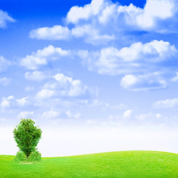 Similar image 556555