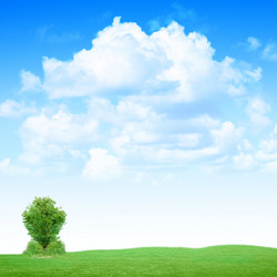 Similar image 556557