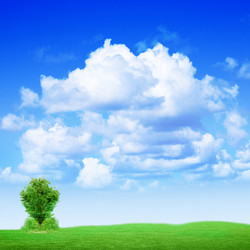 Similar image 556559