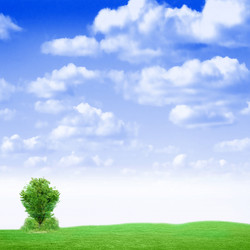 Similar image 556561