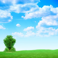 Similar image 556562