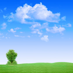 Similar image 556563